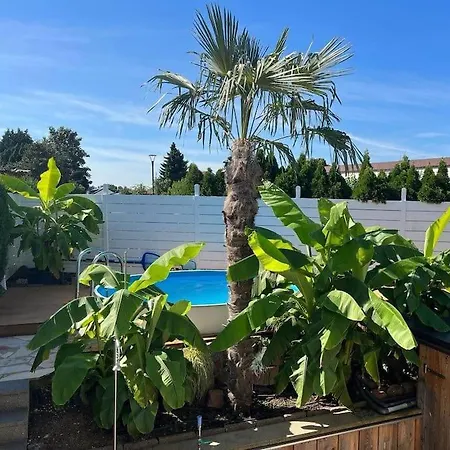 Lägenhet Chillout With Sauna & Pool Heidelberg